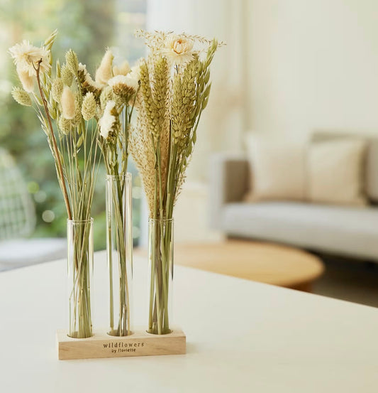 Trockenblumen in der Geschenkbox mit Vasen - Natur