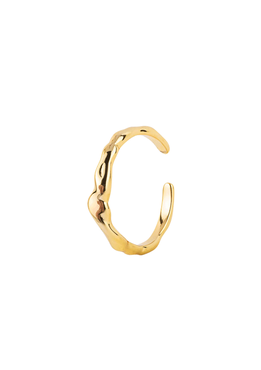 Ring - MANIFEST GOLD