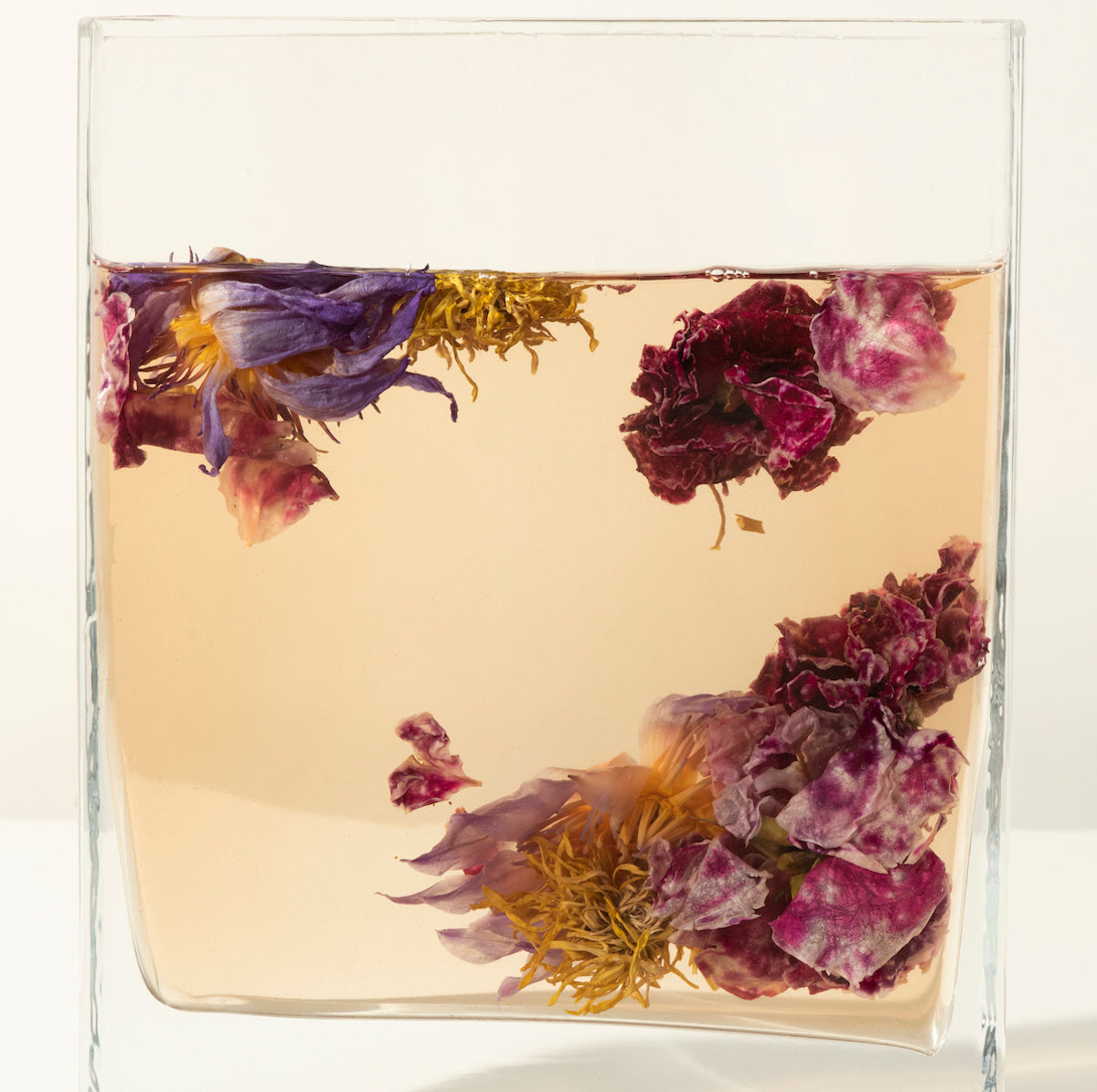 Whole Flower Tea - CRYSANTHEME