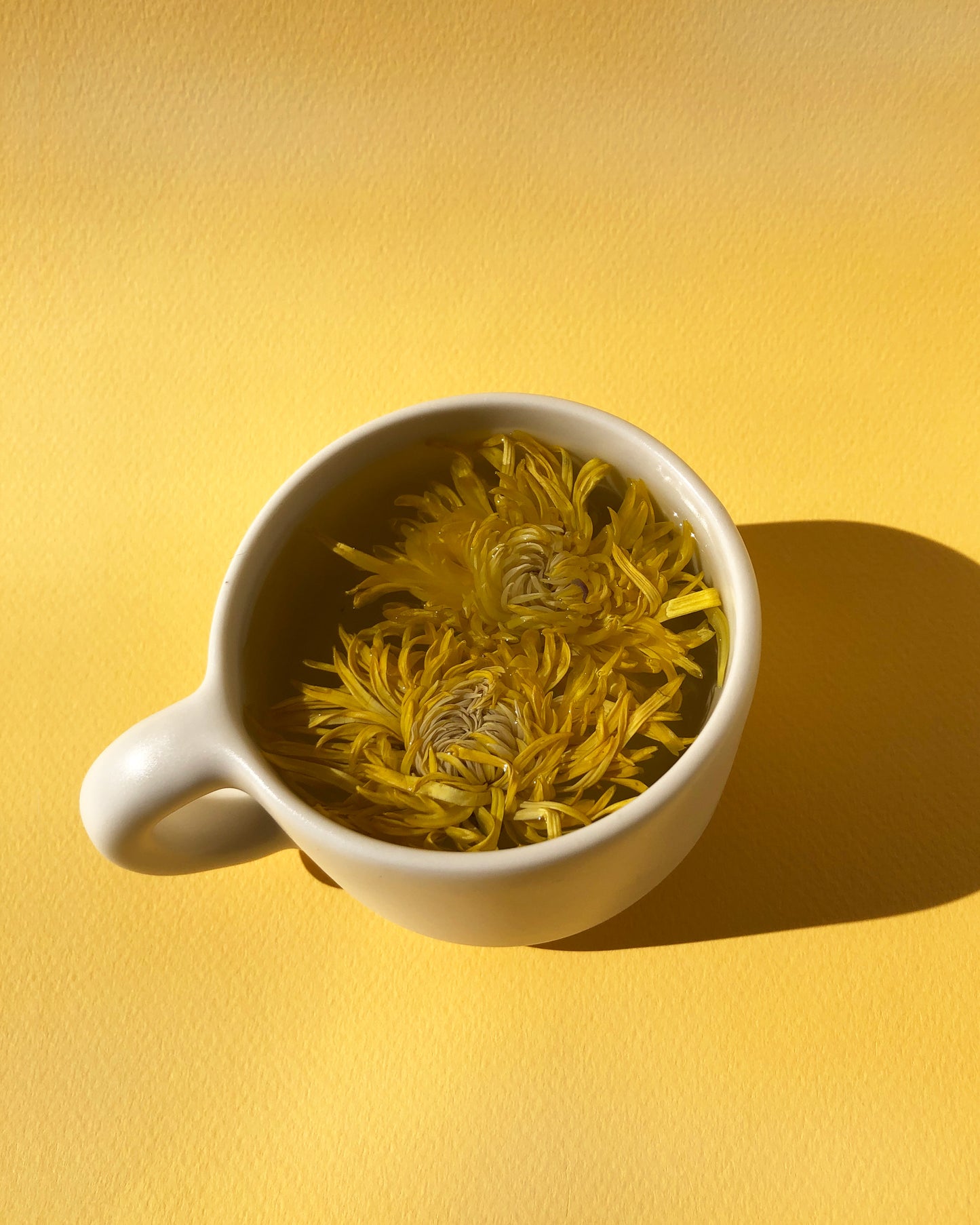 Whole Flower Tea - CRYSANTHEME